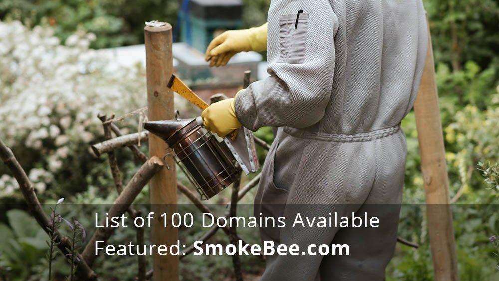 domains available 29th august