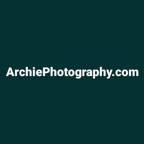 Domain is for sale Archie Photography