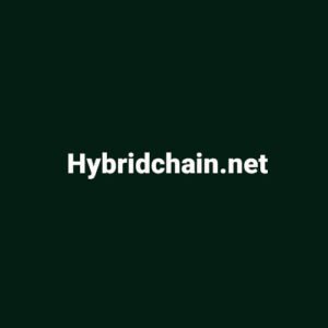 Domain Hybrid Chain up is for sale