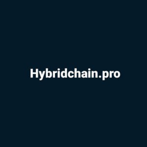 Domain Hybrid Chain up is for sale
