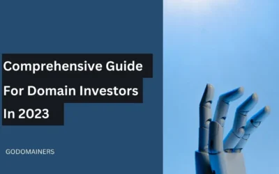 Capitalizing on the .AI Wave: A Guide for Domain Investors in 2023